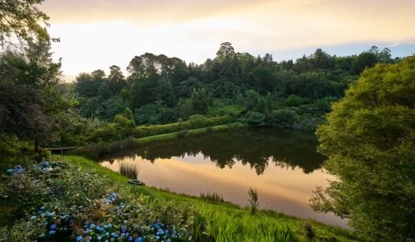 Gardens and dam at Cheerio Gardens