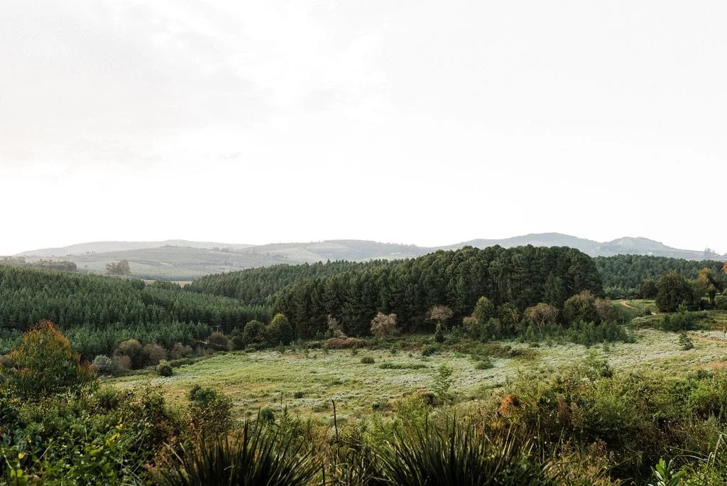 Meadows, forests and mountain views at Glendennis Farm, home of Zwakala River Retreat